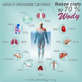 woda w organizmie